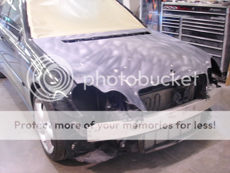 Rock chips on my car ( Forums